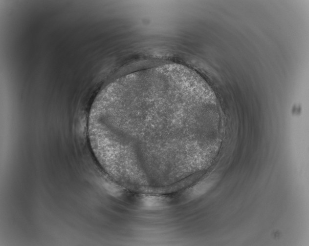 X0000097660336200803211925