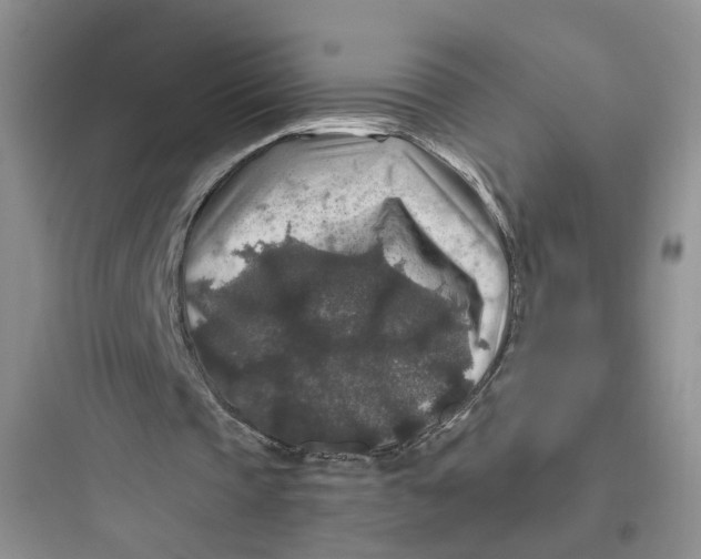 X0000097660337200803211924
