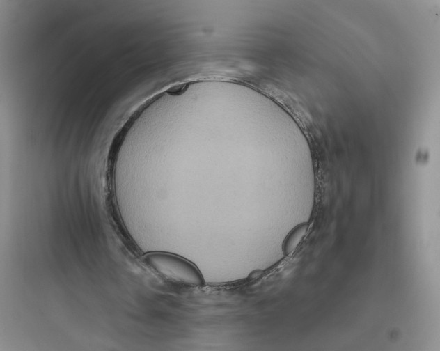 X0000097660338200803211924