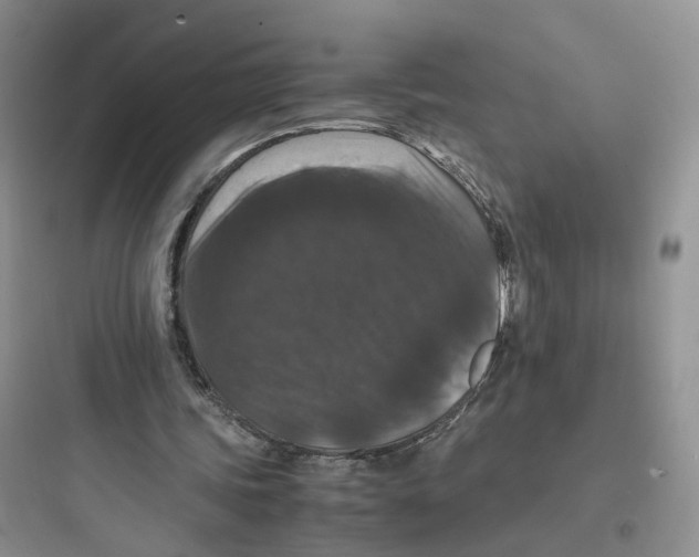 X0000097660339200803211924