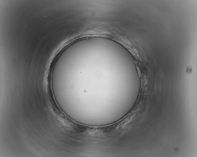 X0000097660340200803211924