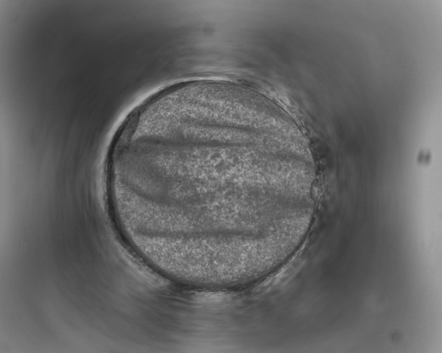 X0000097660342200803211924