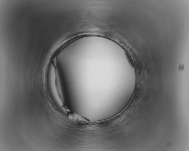 X0000097660344200803211924