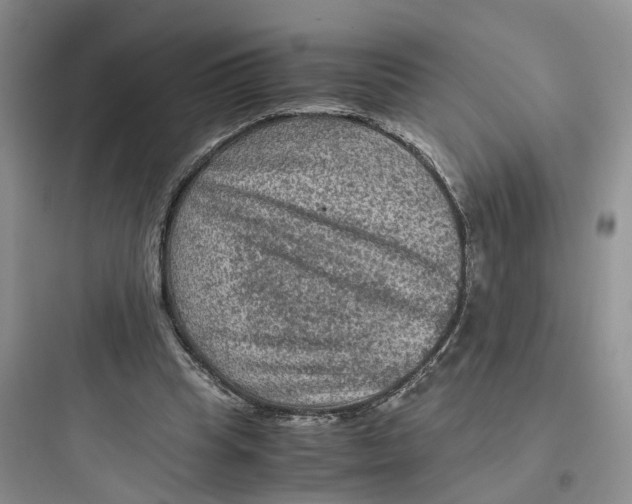 X0000097660345200803211924