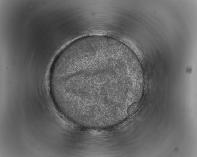 X0000097660346200803211924