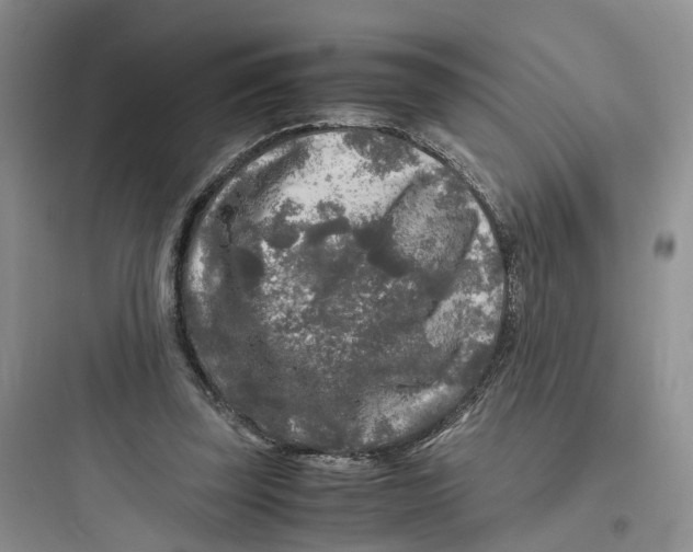 X0000097660347200803211924
