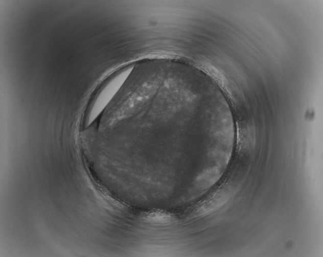 X0000097660348200803211924