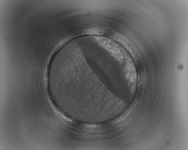 X0000097660349200803211924