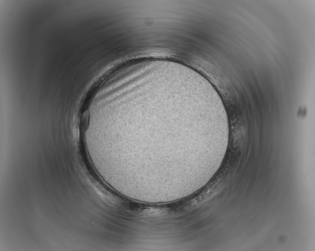 X0000097660350200803211924