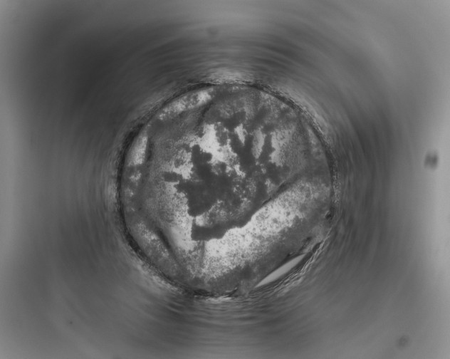 X0000097660353200803211924