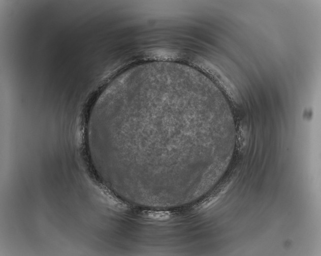 X0000097660355200803211924