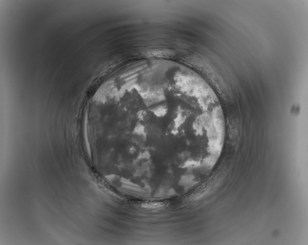 X0000097660357200803211924