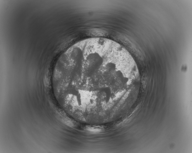X0000097660359200803211924