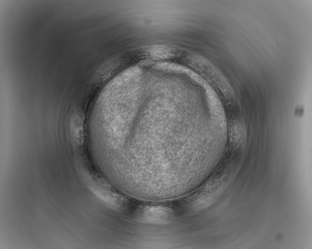 X0000097660360200803211925