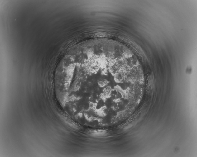 X0000097660361200803211925