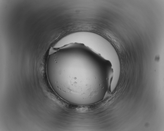X0000097660362200803211925