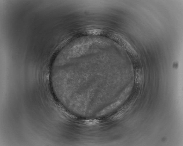 X0000097660363200803211925