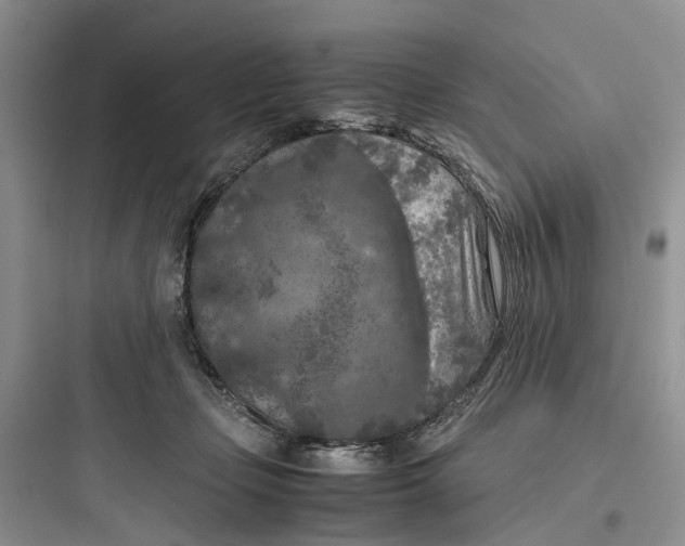 X0000097660365200803211925