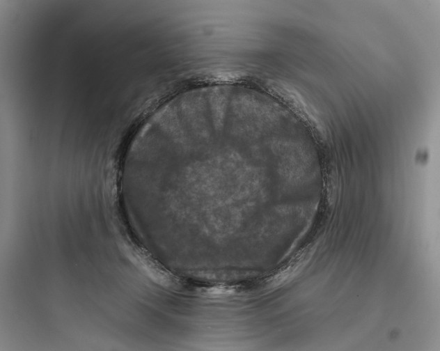 X0000097660366200803211925