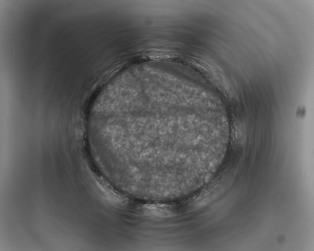 X0000097660367200803211925