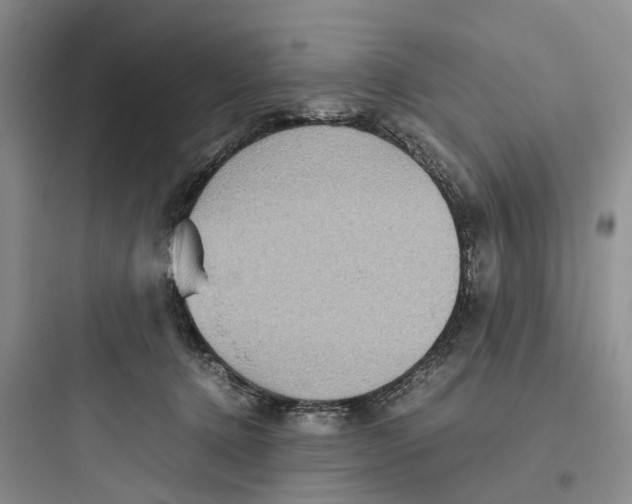 X0000097660368200803211925