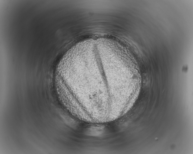 X0000097660369200803211925