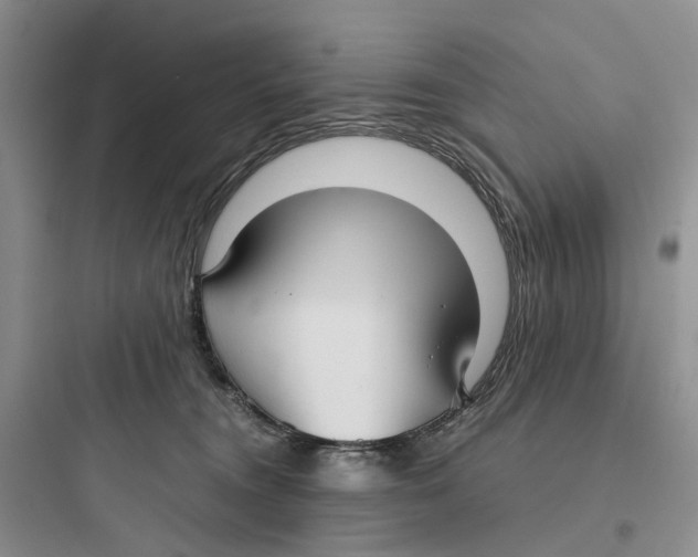 X0000097660372200803211925
