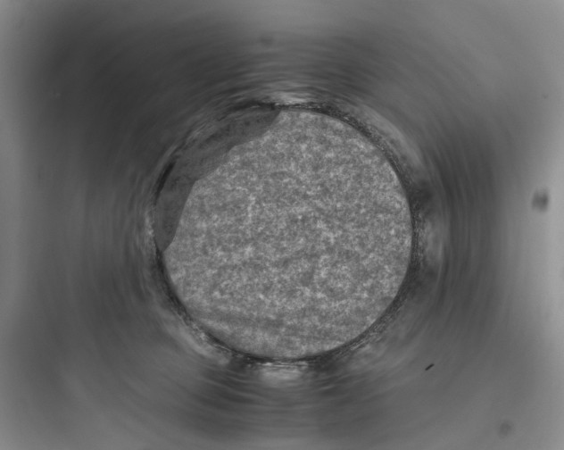 X0000097660373200803211925