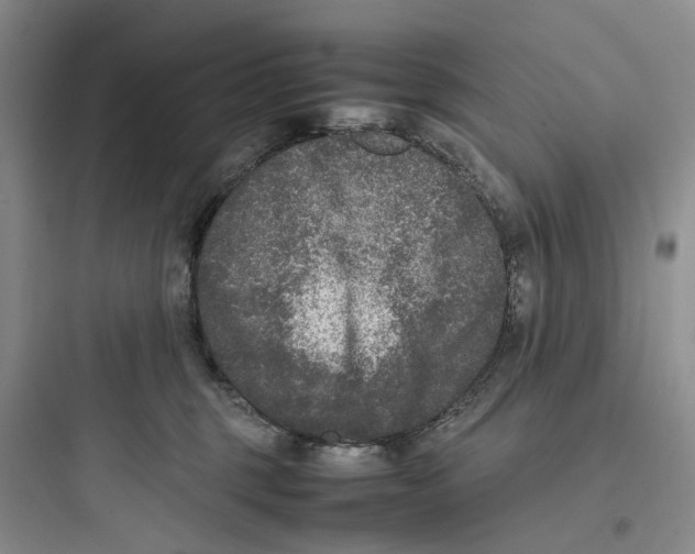 X0000097660375200803211925