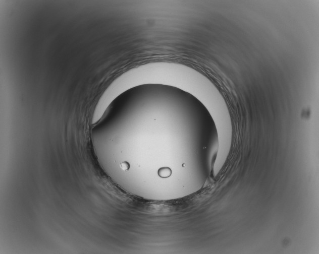 X0000097660376200803211925