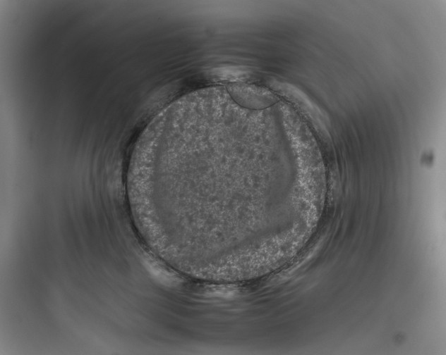 X0000097660377200803211925