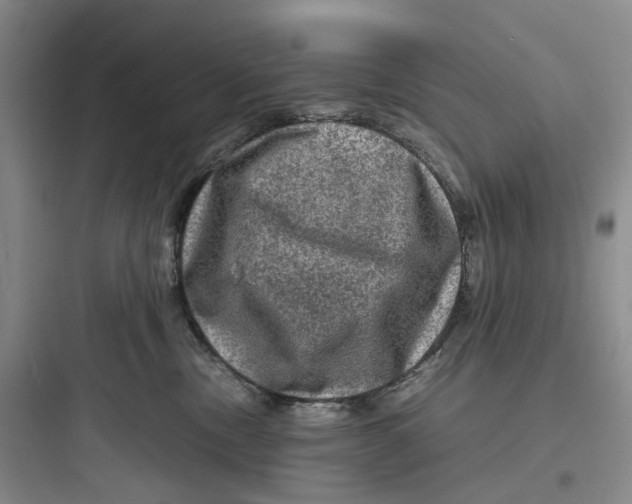X0000097660378200803211925