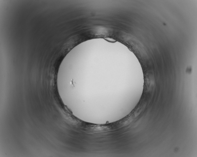 X0000097660379200803211925