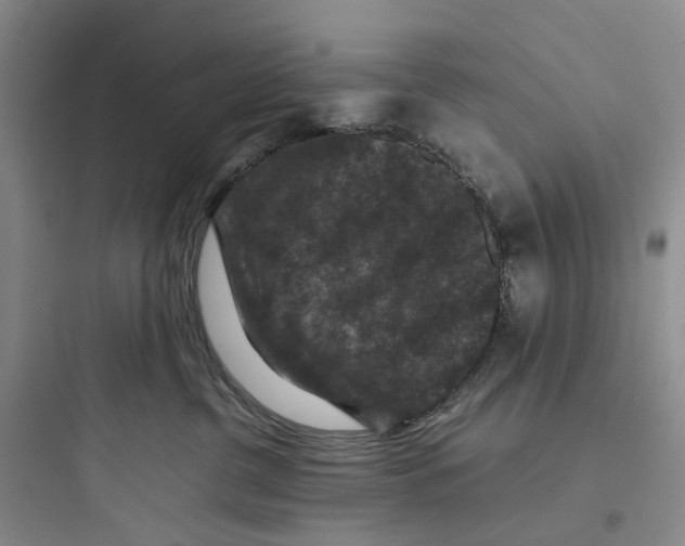 X0000097660380200803211925