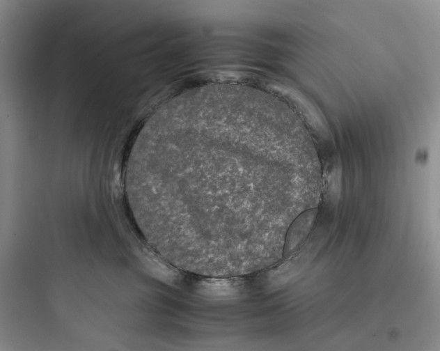 X0000097660381200803211925