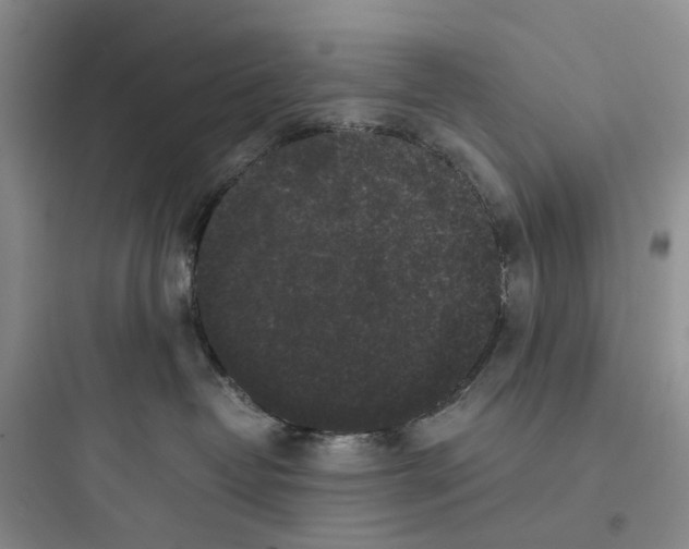 X0000097660382200803211925