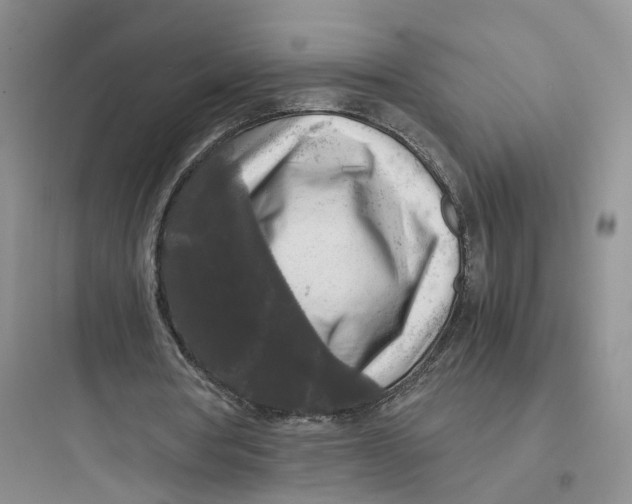 X0000097660386200803211924