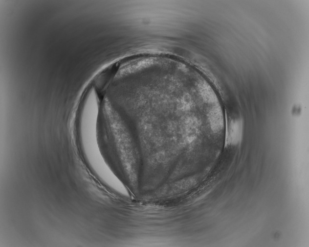 X0000097660387200803211924