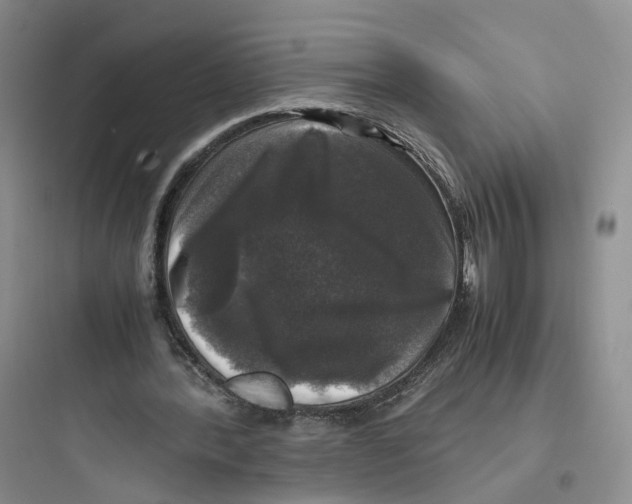 X0000097660388200803211924