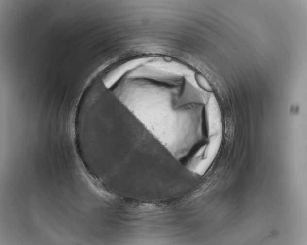 X0000097660390200803211924