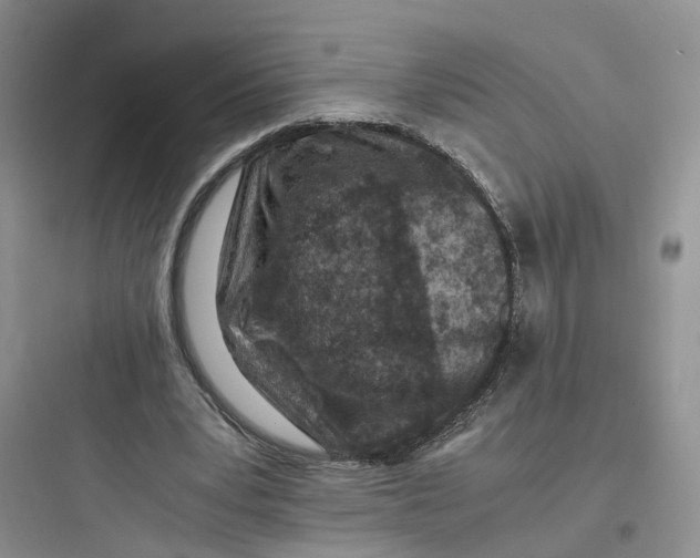 X0000097660391200803211924