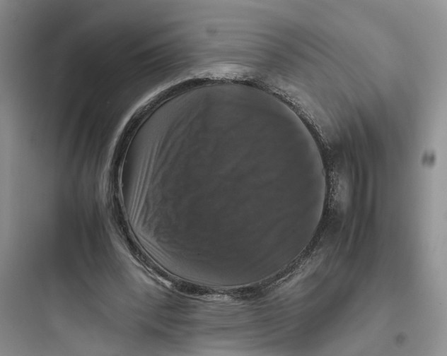 X0000097660392200803211924