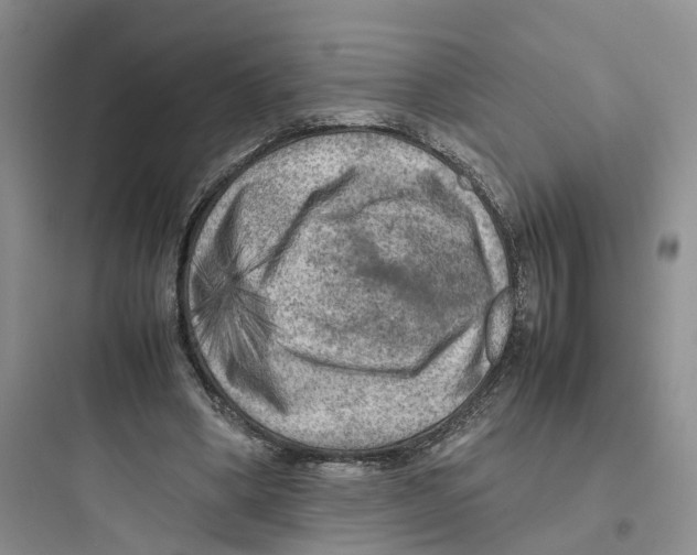 X0000097660394200803211924