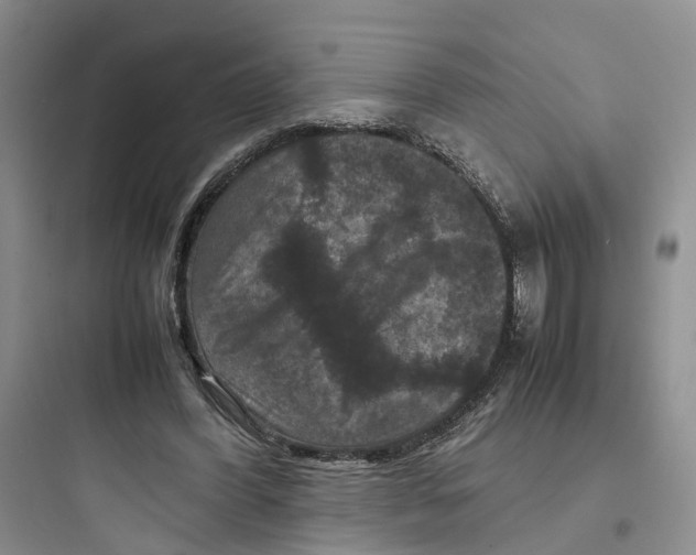 X0000097660396200803211924