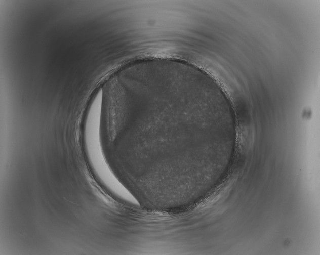 X0000097660397200803211924