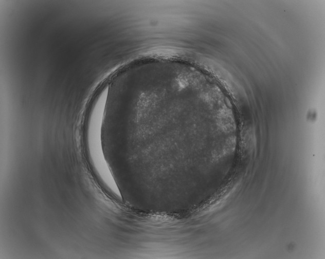 X0000097660399200803211924