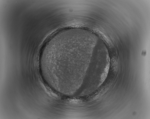 X0000097660400200803211924