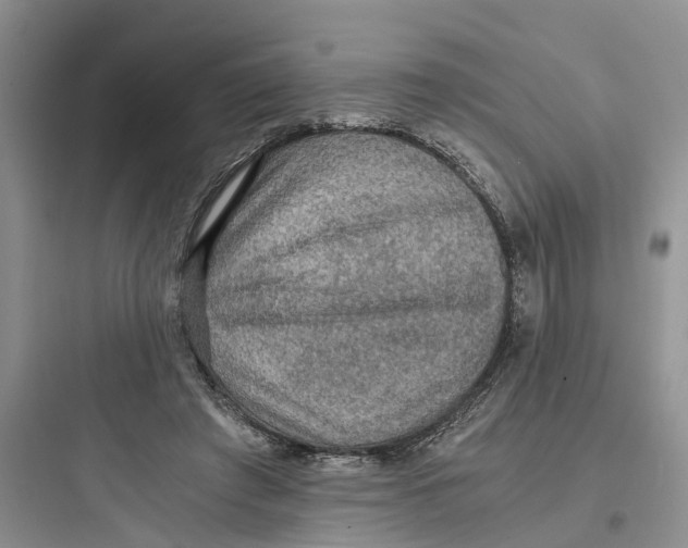 X0000097660401200803211924
