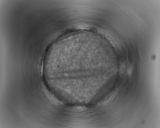 X0000097660402200803211924