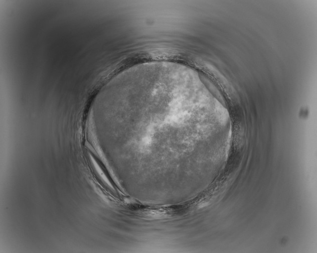 X0000097660405200803211924
